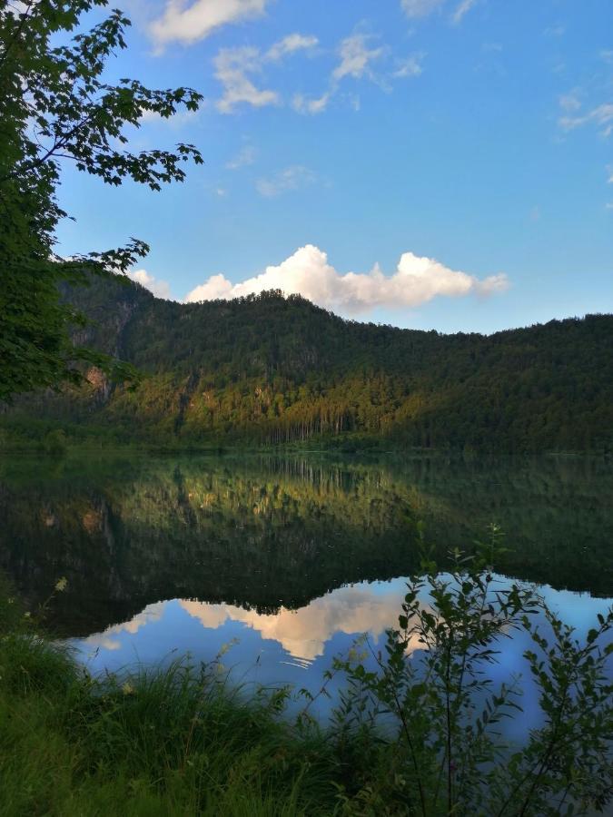 Buehlhaeusl Apartamento Grünau im Almtal Exterior foto